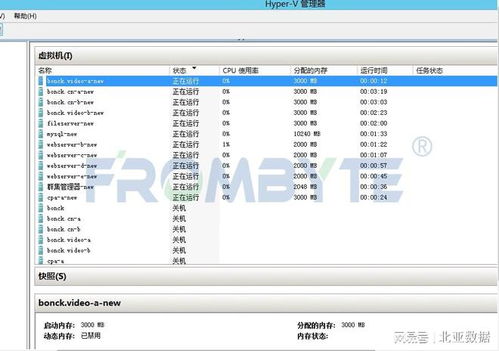 数据恢复技术实训报告，这几个细节别忽略