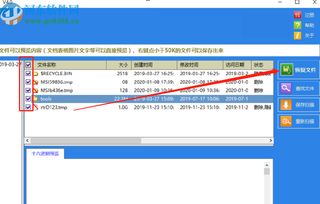 精品删除文件恢复软件怎么恢复删除的文件 精品删除文件恢复软件恢复删除文件的方法 河东软件园